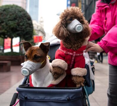 5e60d3aefee23d69d47befc3