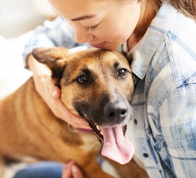 Close up portrait of smiling Asian woman hugging dog sitting on bed in warm sunlight, copy space