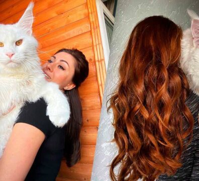 18_gato_gigante_2