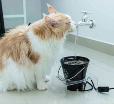 09_video_simbiotico_2