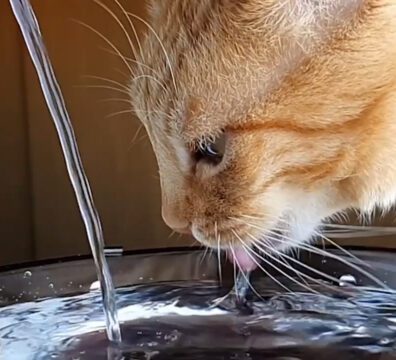 16_VIDEO_HIDRATACAO_img4