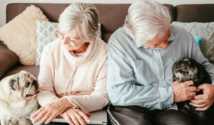 Envelhecimento animal