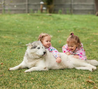 The two little baby girsl playing with dog against green grass in park