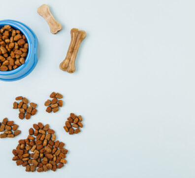 bowl-with-feed-paw-figure-light-background