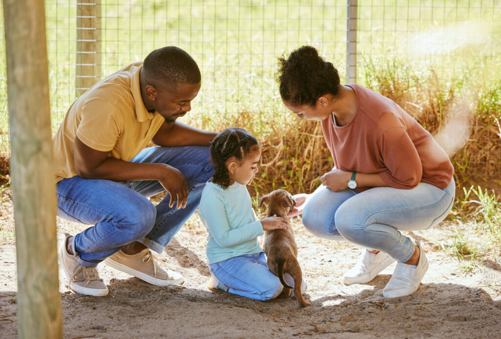 Adoção de animais na semana do meio ambiente