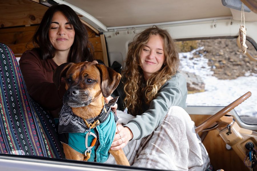Cuidados pet-friendly em viagens