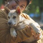 adoção responsável