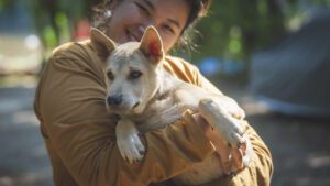 Dezembro verde: passos para uma adoção responsável