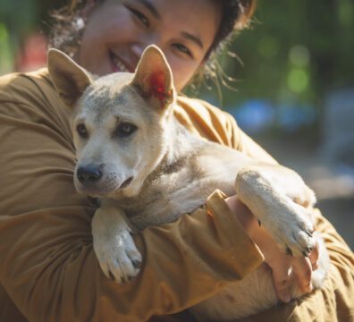 adoção responsável