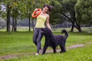exercicio-cachorro